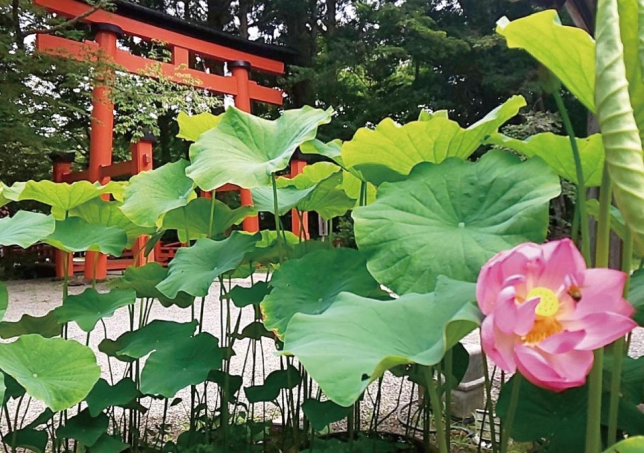 Ito-Gun - House - Vacation Stay 31960V Kudoyama Eksteriør bilde
